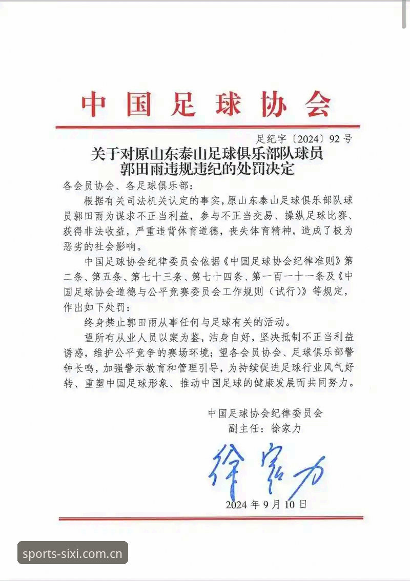 四喜体育如何安装必备 中国足协第三批禁足名单最新动态:17人被终身禁足,48人遭5年及以下处罚